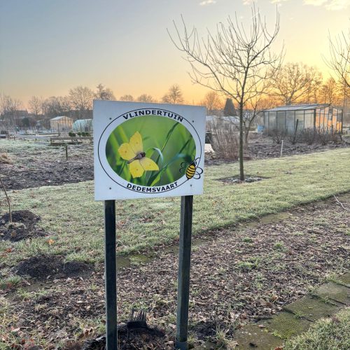 WhatsApp Image 2026-01-19 at 12.05.13 (2)